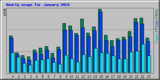 Hourly usage for January 2019