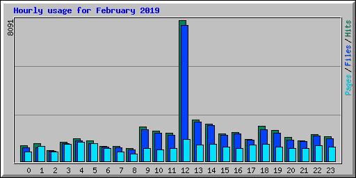 Hourly usage for February 2019